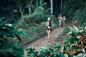 BIB: 
                            <button type="button" onclick="openModal(25797017)" class="btn btn-primary btn-sm float-right btn-popup" data-toggle="modal" data-target=".modal-high-quality">
                        <i class="fas fa-shopping-cart"></i> Add to Cart
                    </button>
                                            <button type="button" onclick="isThisMe(25797017, true)" class="btn btn-success btn-sm float-right btn-popup btn-isme hidden" data-toggle="tooltip" data-placement="bottom" title="นี่คือรูปของคุณใช่ไหม คลิกที่นี่เพื่อเอาเข้าอัลบั้ม">
                        <i class="fas fa-plus"></i> Add to album
                    </button>
                    <button type="button" onclick="isThisMe(25797017, false)" class="btn btn-warning btn-sm float-right btn-popup btn-isnotme hidden">
                        <i class="fas fa-ban"></i> Remove from album
                    </button>